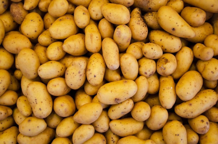 An Idaho Potato Farmer Tribute