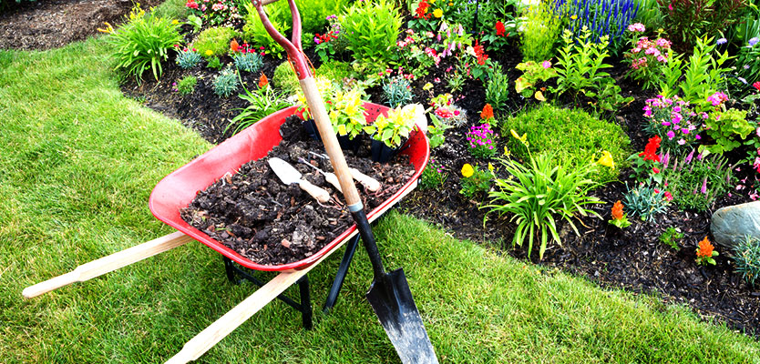 Simplify your gardening experience -- add mulch!