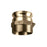 Brass 6" Male Camlock x 6" Male Pipe (npt) Fitting